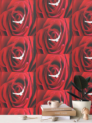 Wallpaper Rolls