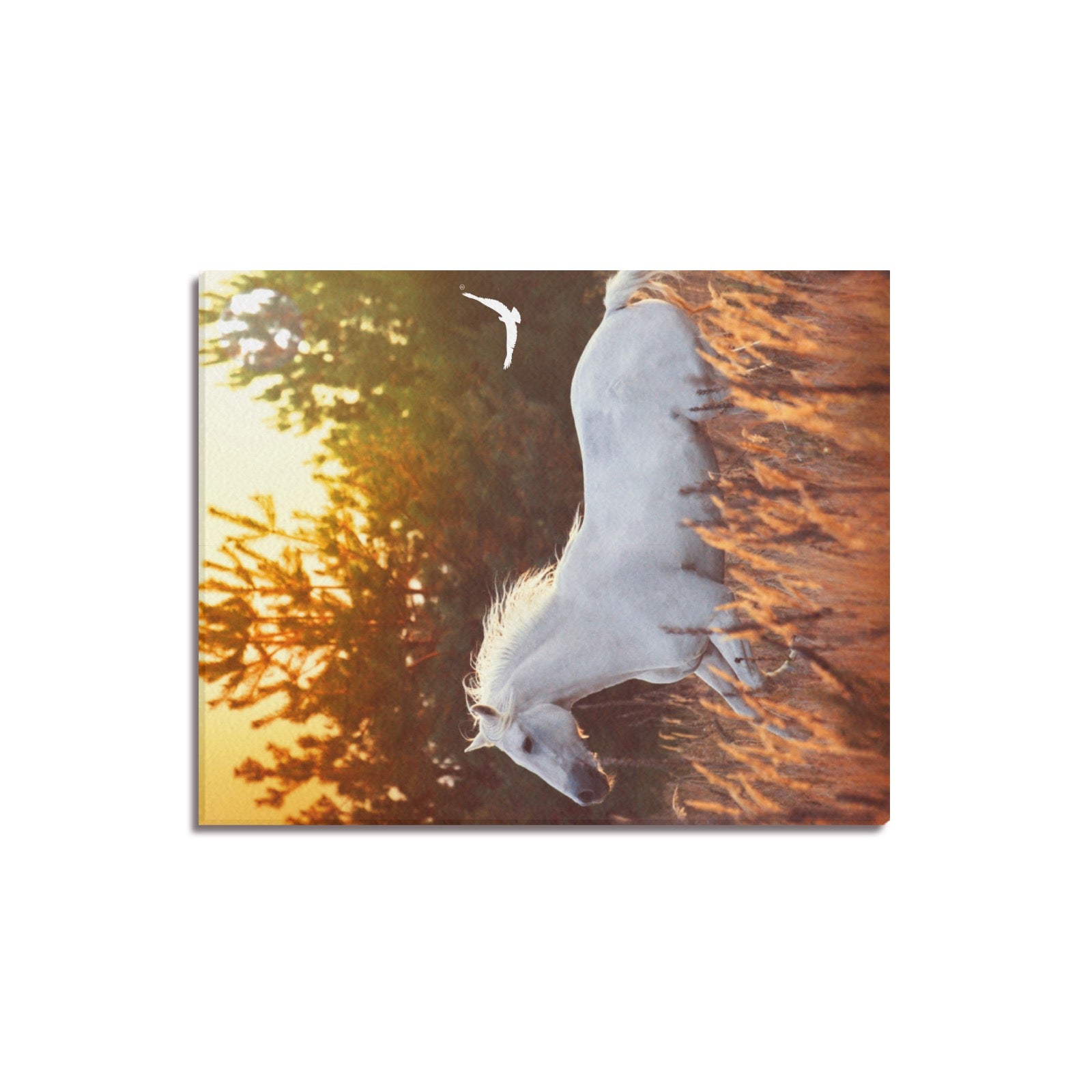 Canvas Print 16" x 20"
