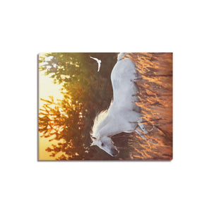 Canvas Print 16" x 20"