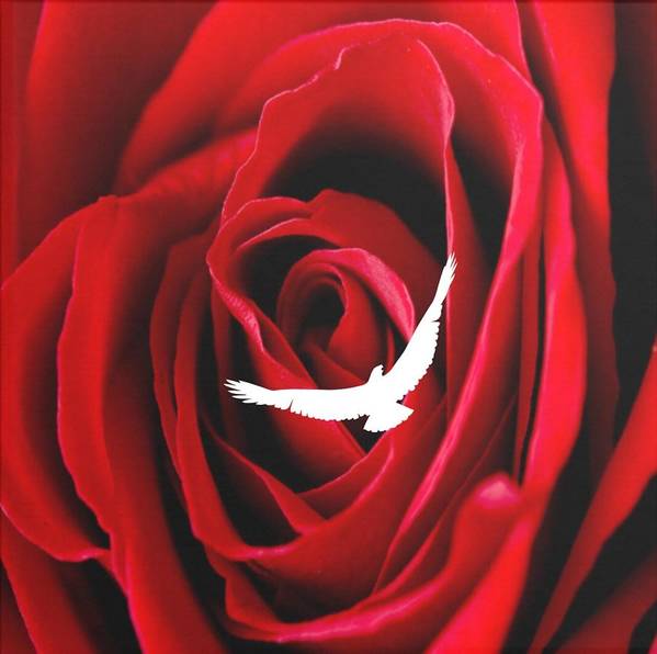 Love - Art Print