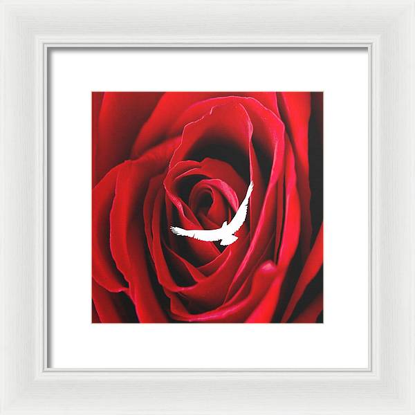 Love - Framed Print