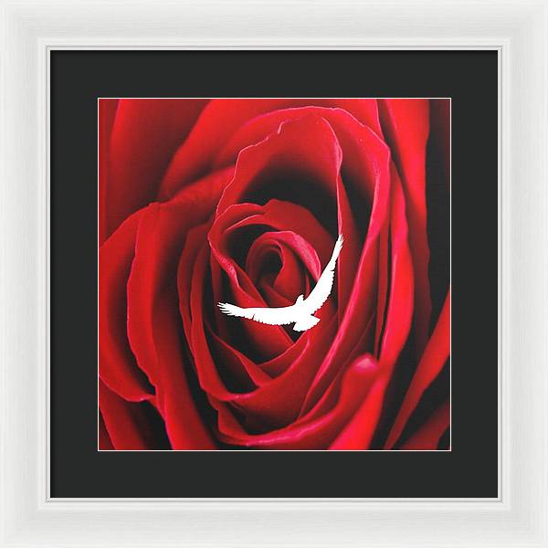 Love - Framed Print