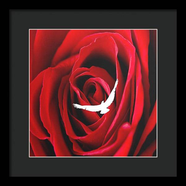 Love - Framed Print