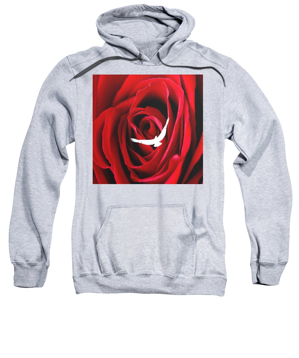 Love - Sweatshirt