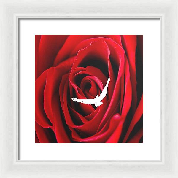 Love - Framed Print