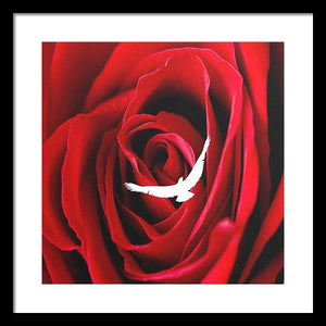 Love - Framed Print
