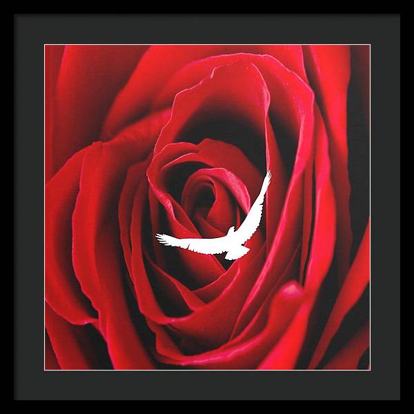 Love - Framed Print