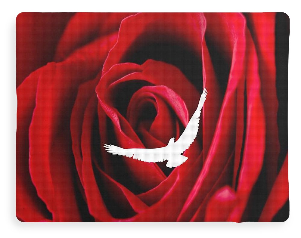 Love - Blanket