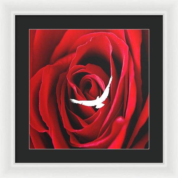 Love - Framed Print