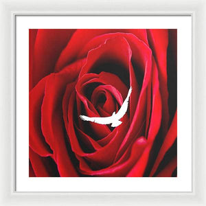 Love - Framed Print