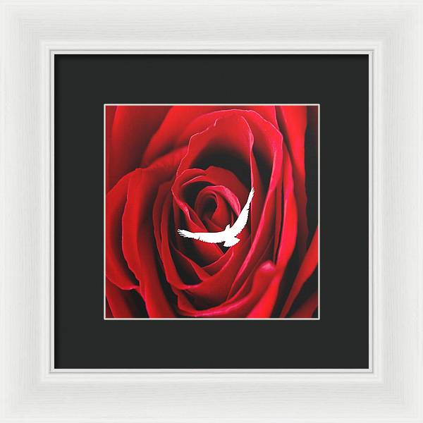 Love - Framed Print