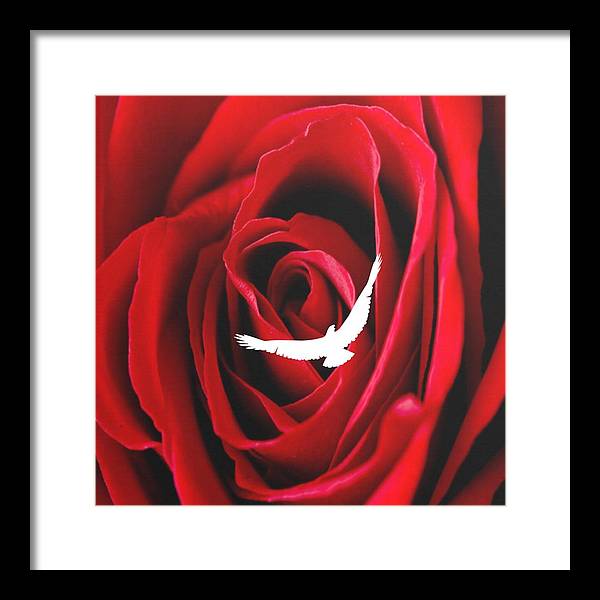 Love - Framed Print