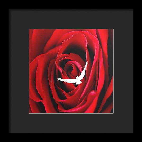 Love - Framed Print