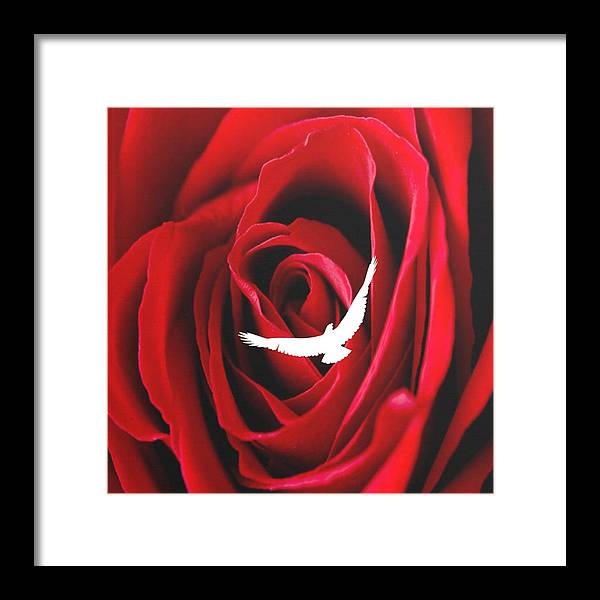 Love - Framed Print