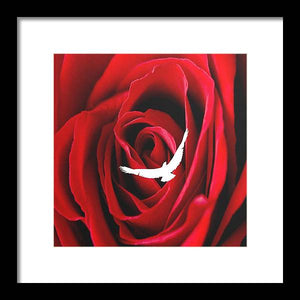 Love - Framed Print