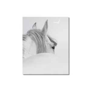 Canvas Print 16" x 20"