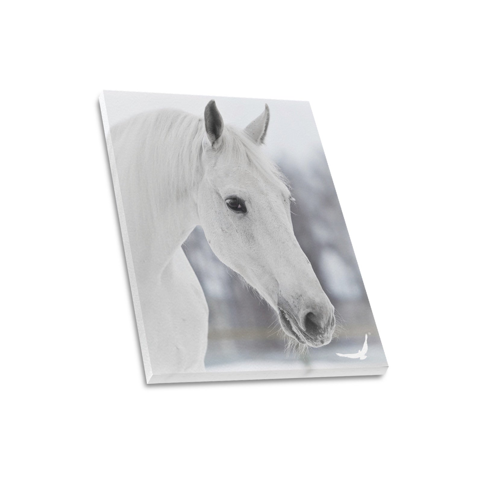 Canvas Print 16" x 20"