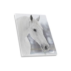 Canvas Print 16" x 20"