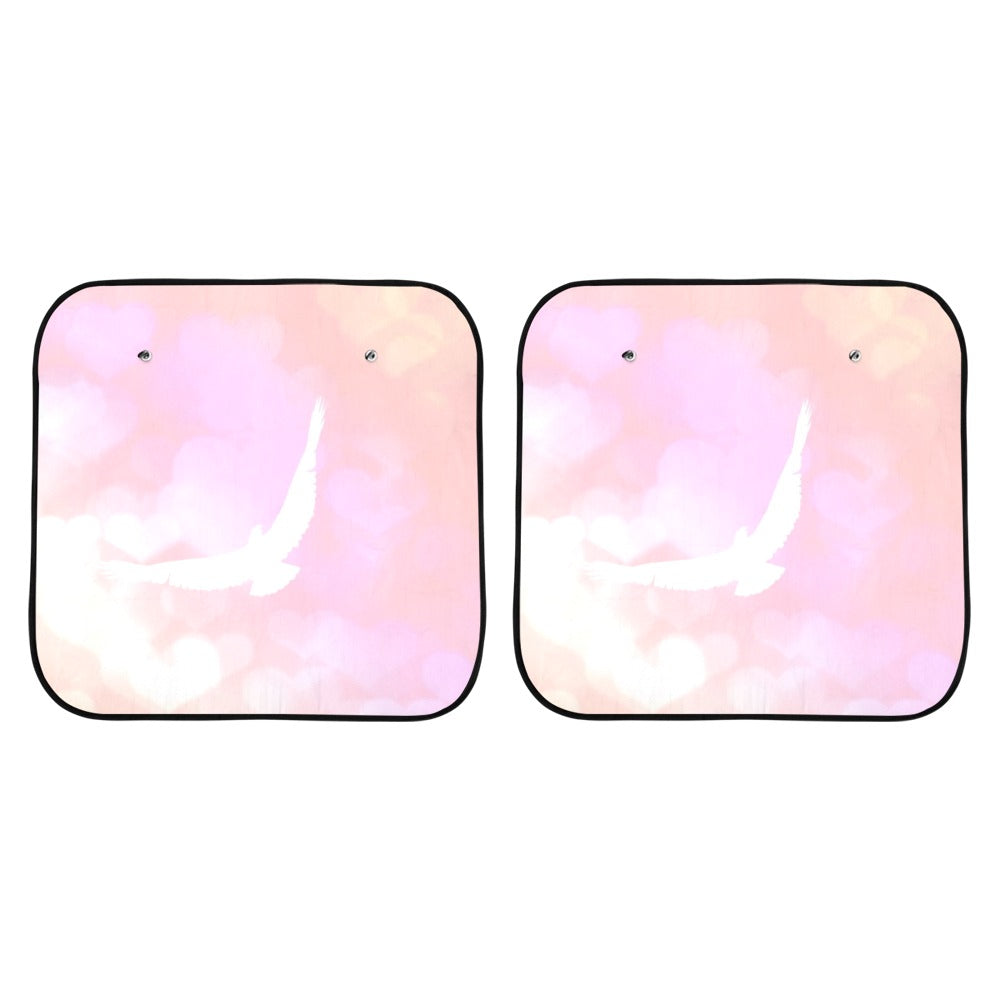 car shade