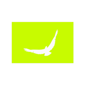 neon Sticker