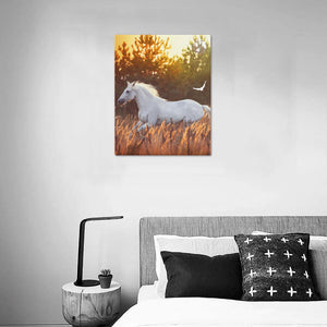 Canvas Print 16" x 20"