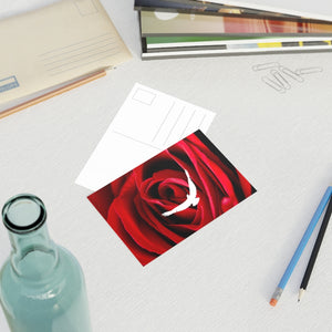 Postcards (10pcs)