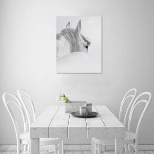 Canvas Print 16" x 20"