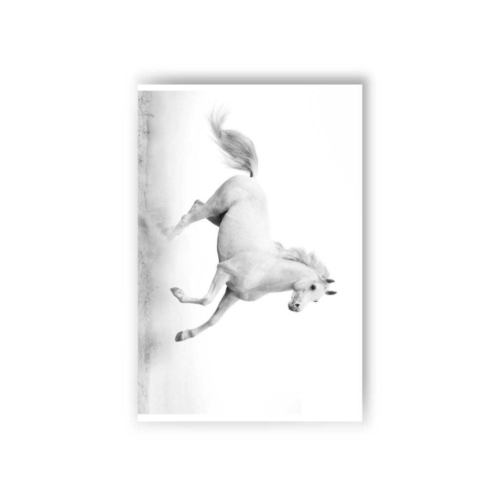 Postcards (10pcs)