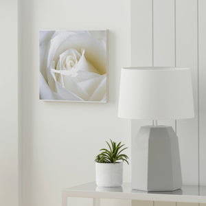 Wood Canvas