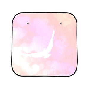 car shade