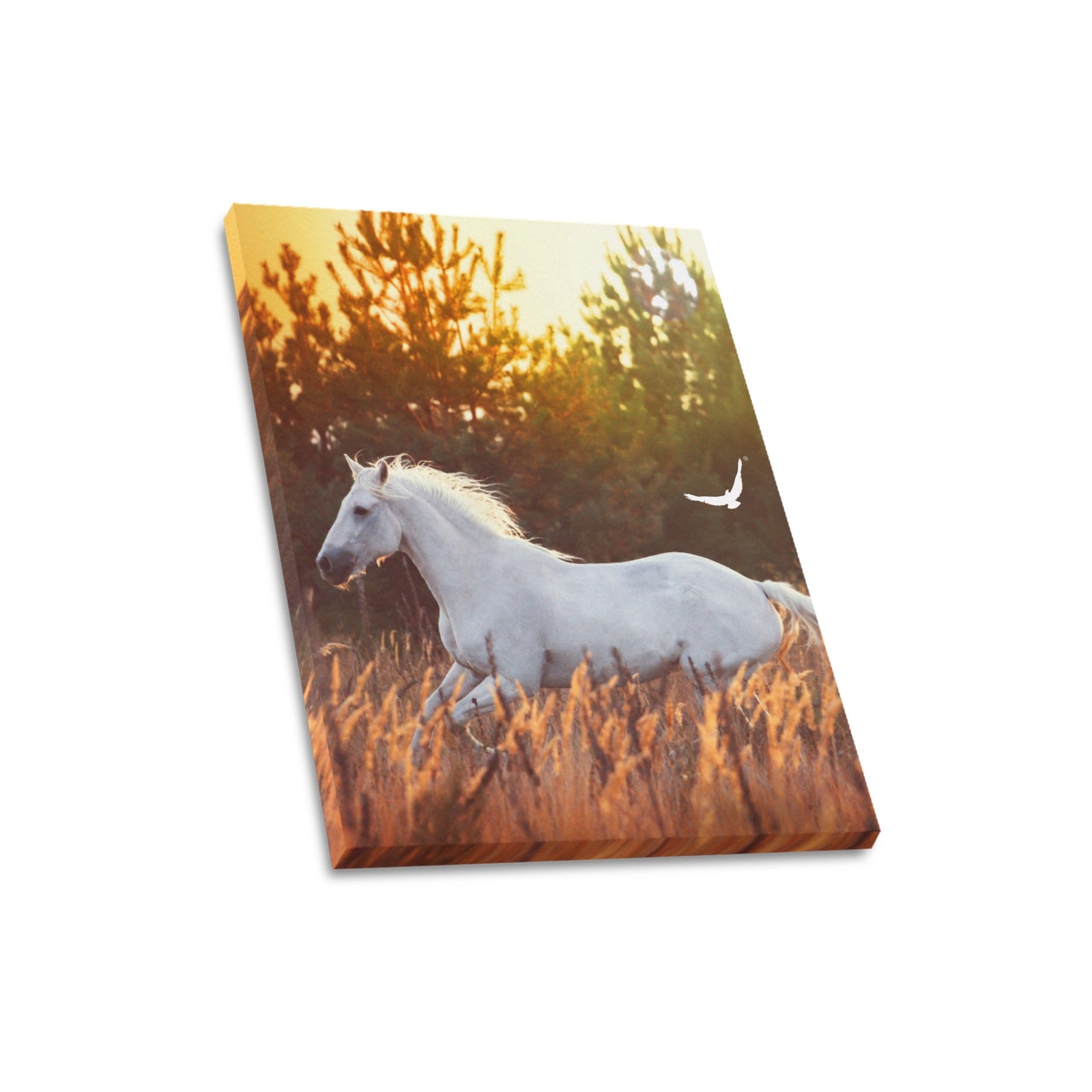 Canvas Print 16" x 20"