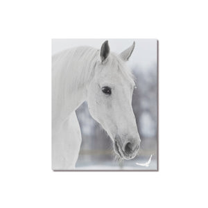 Canvas Print 16" x 20"