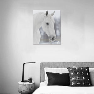 Canvas Print 16" x 20"