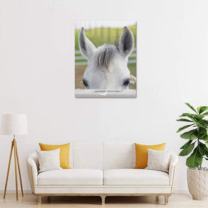 Canvas Print 16" x 20"