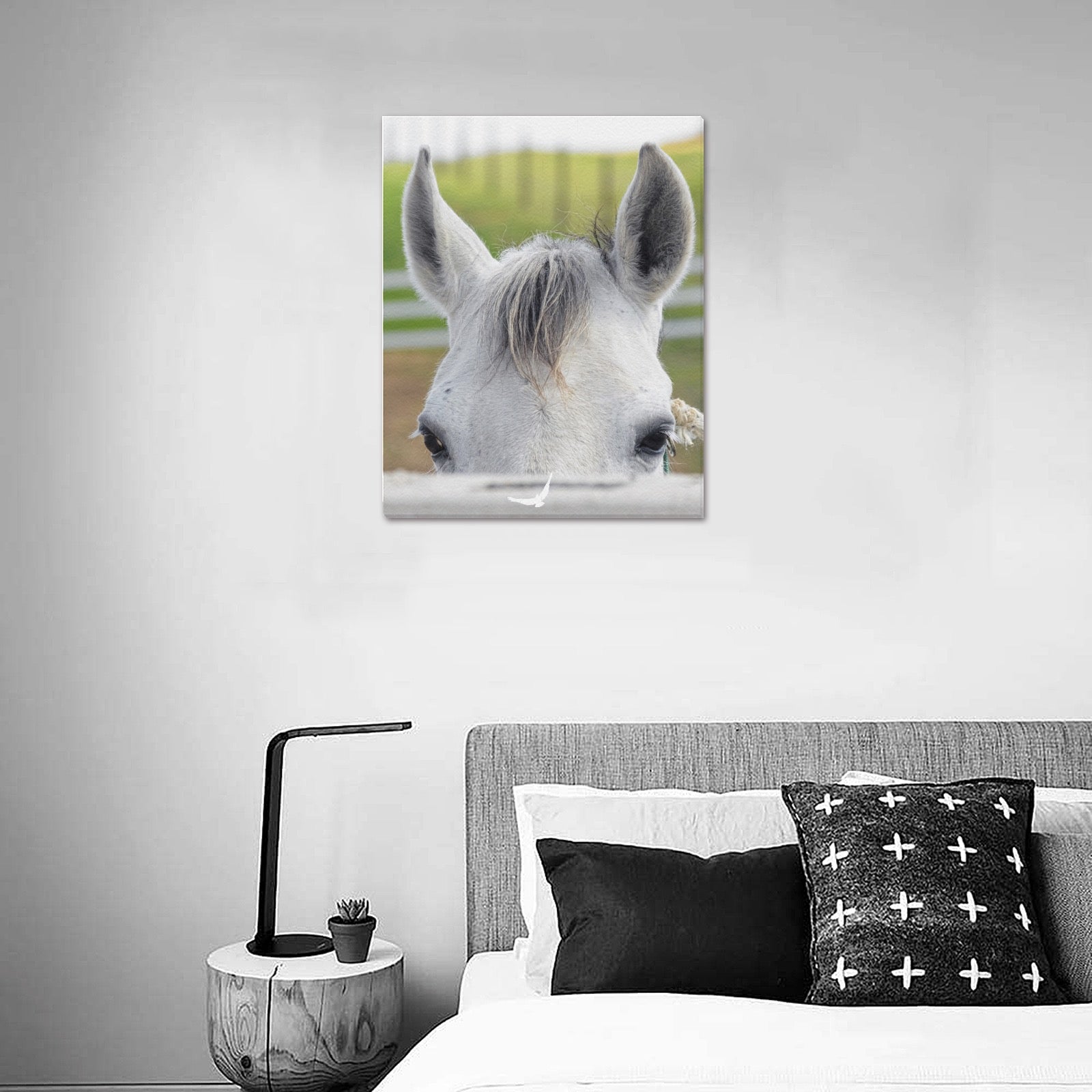 Canvas Print 16" x 20"