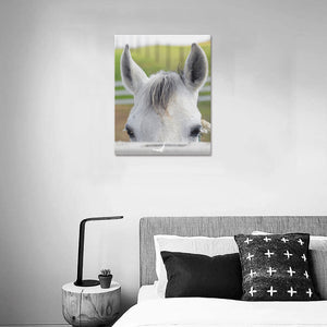 Canvas Print 16" x 20"