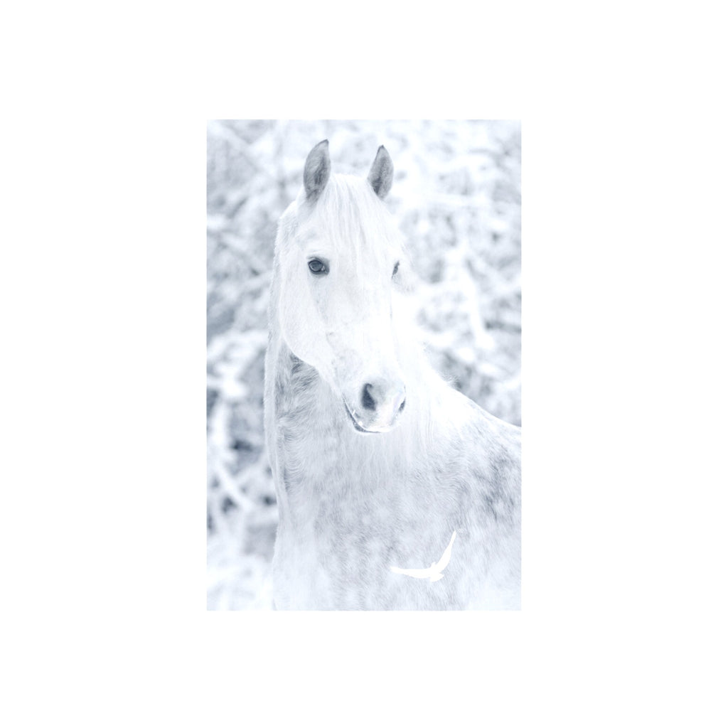 art print 16"x23"