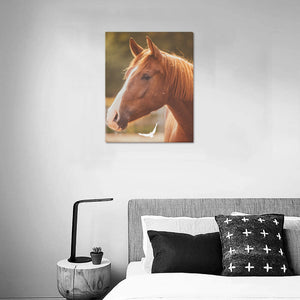 ... Canvas Print 16" x 20"
