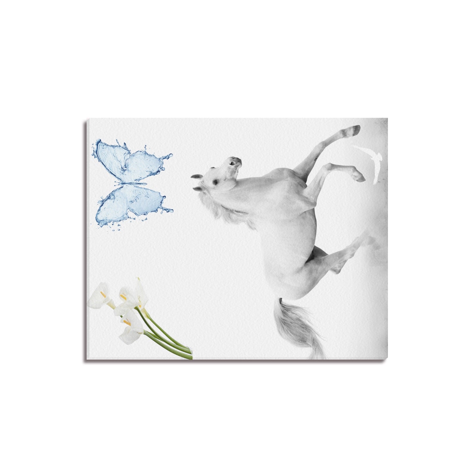 Canvas Print 16" x 20"