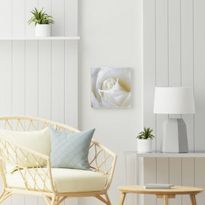 Wood Canvas