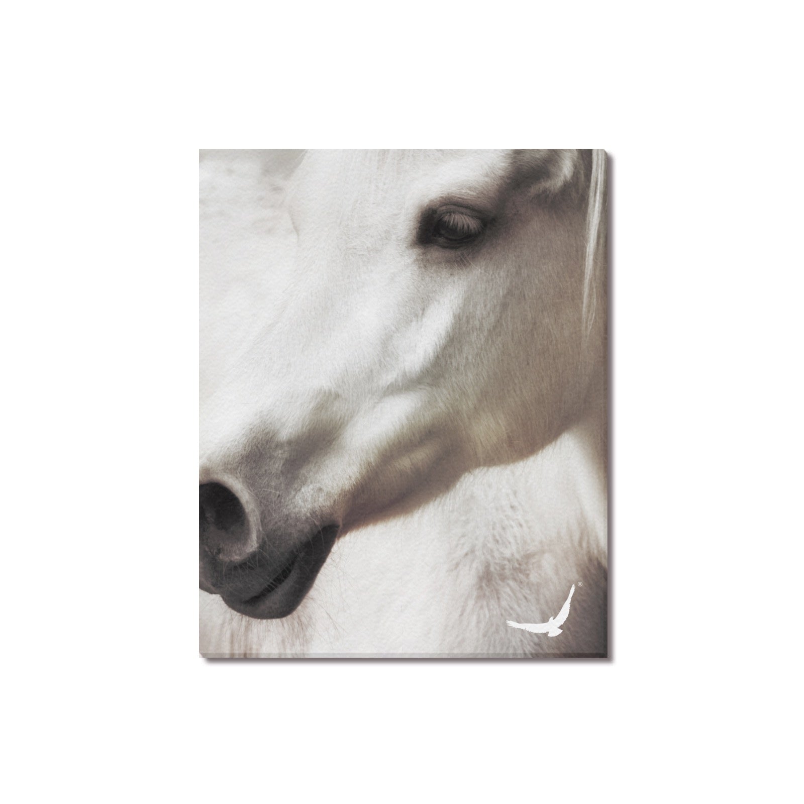 Canvas Print 16" x 20"