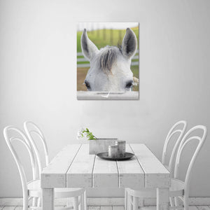 Canvas Print 16" x 20"