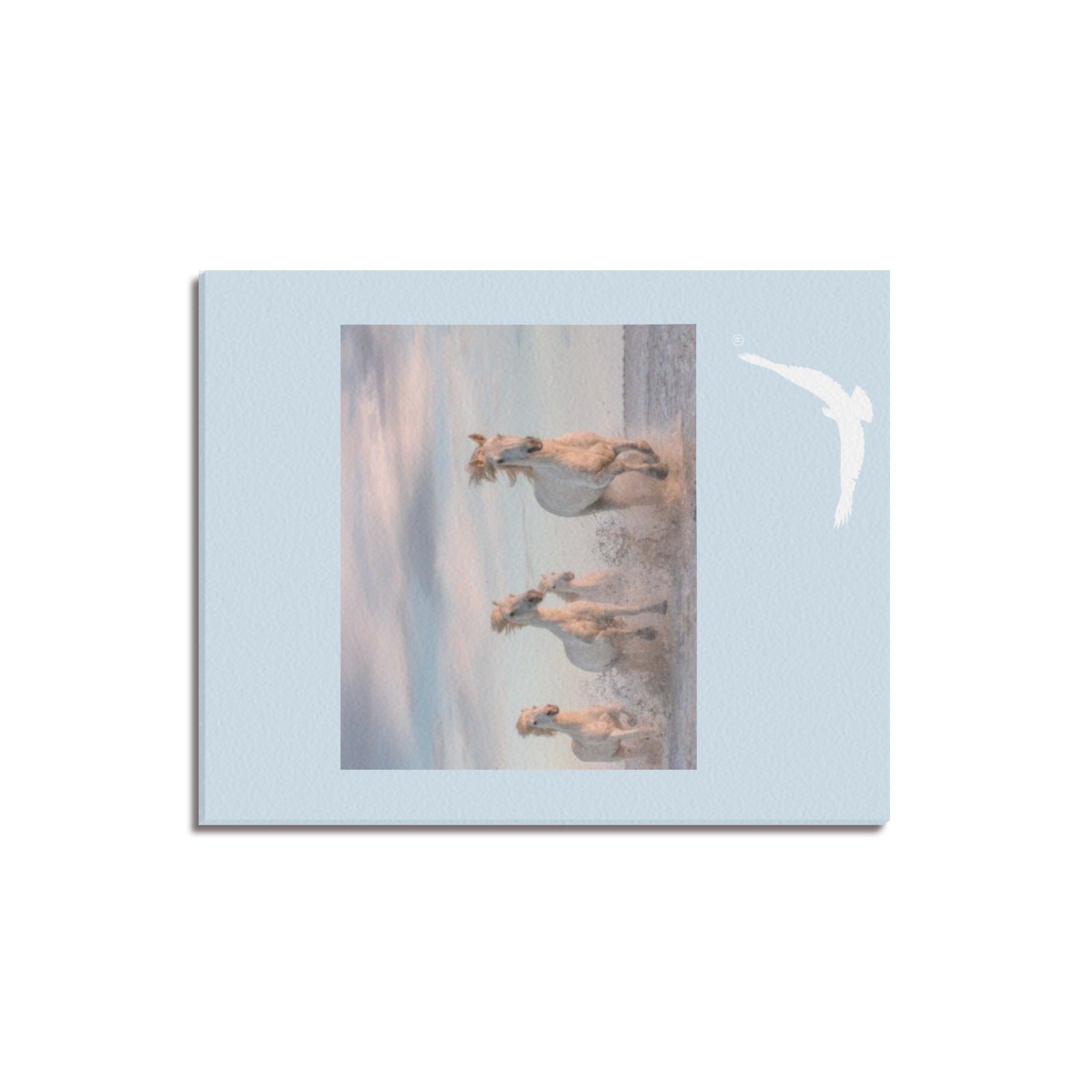 ... Canvas Print 16" x 20"