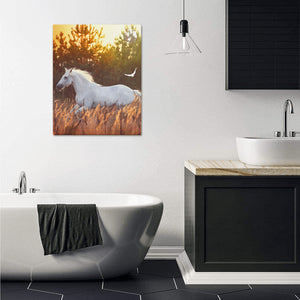 Canvas Print 16" x 20"