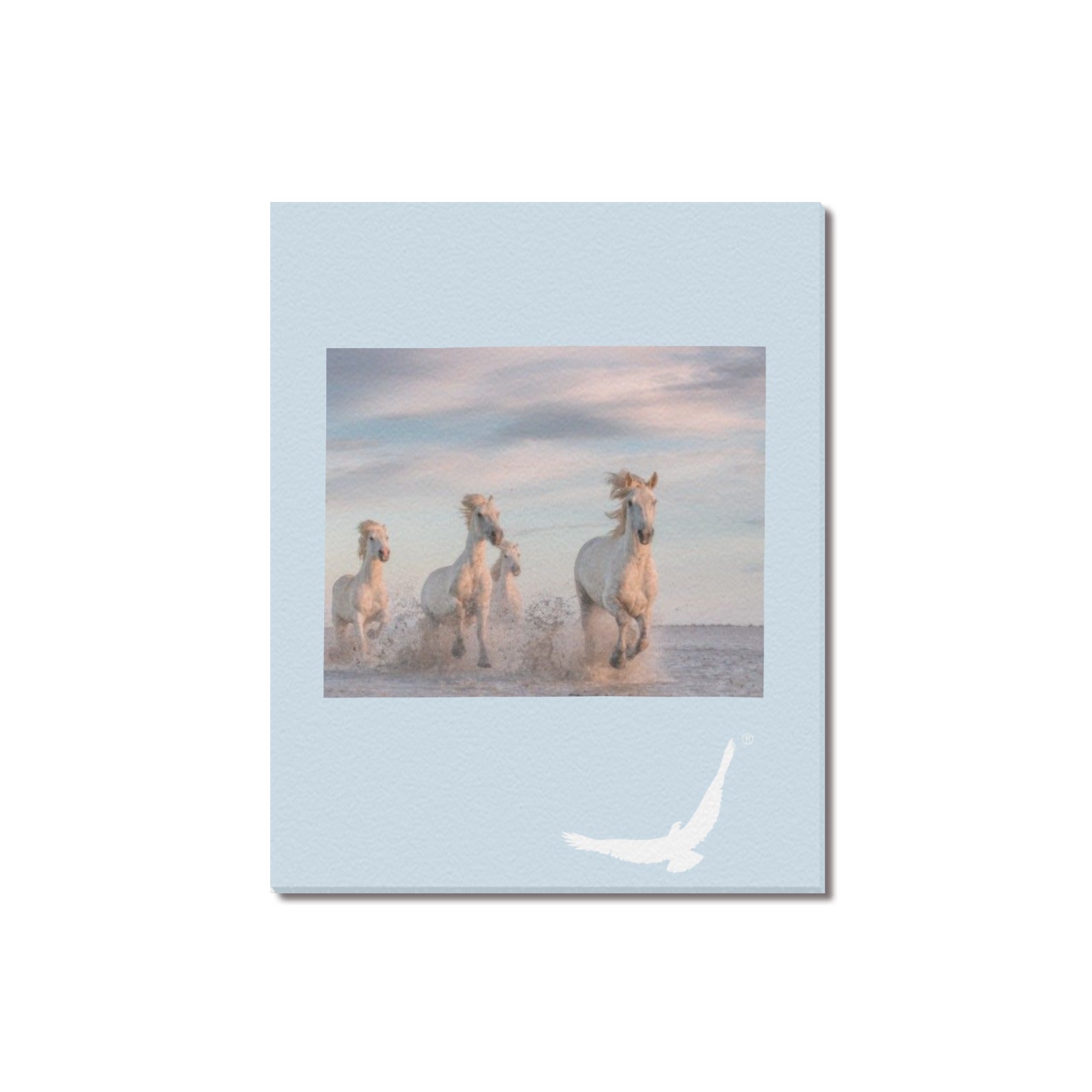 ... Canvas Print 16" x 20"