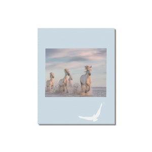 ... Canvas Print 16" x 20"