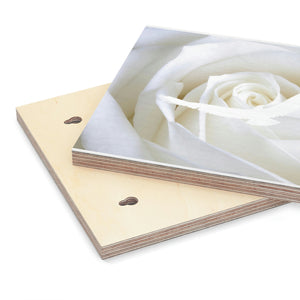 Wood Canvas