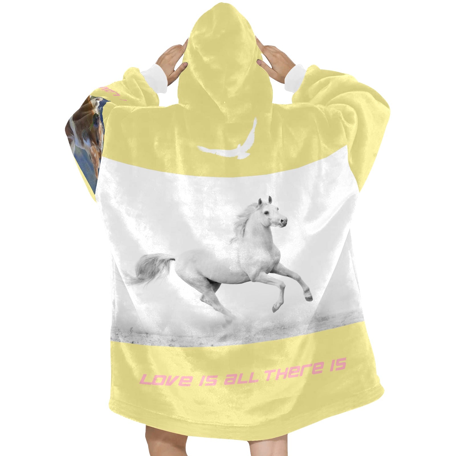 Blanket Hoodie