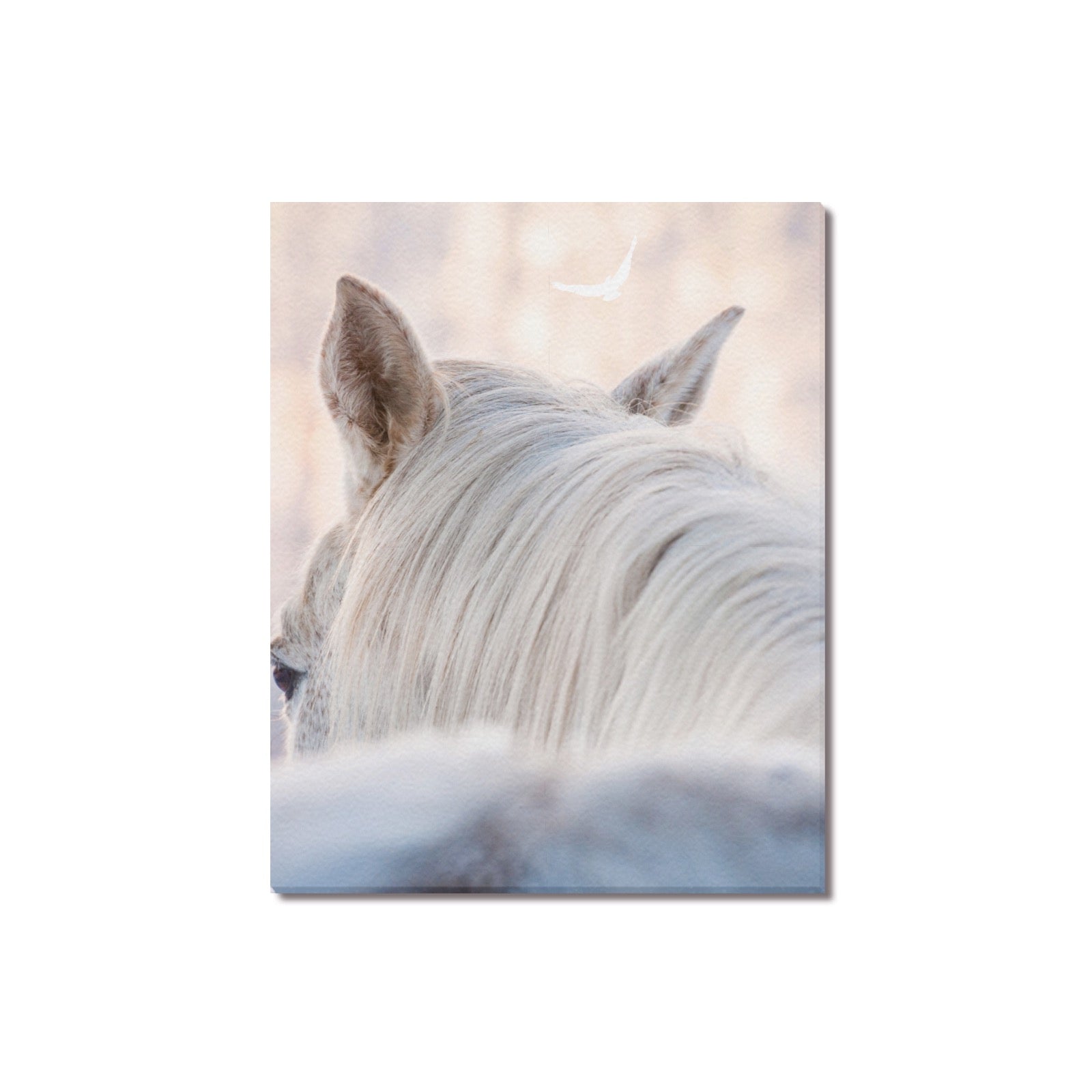 Canvas Print 16" x 20"