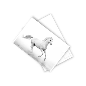 Postcards (10pcs)